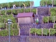 Weinberg